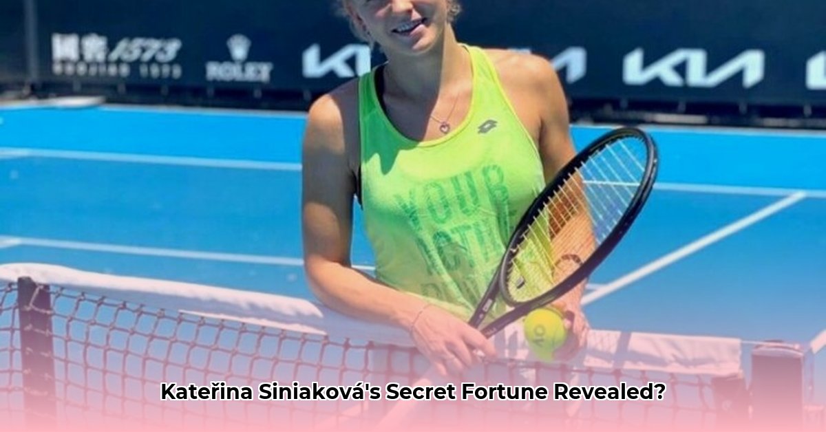 katerina-siniakova-net-worth